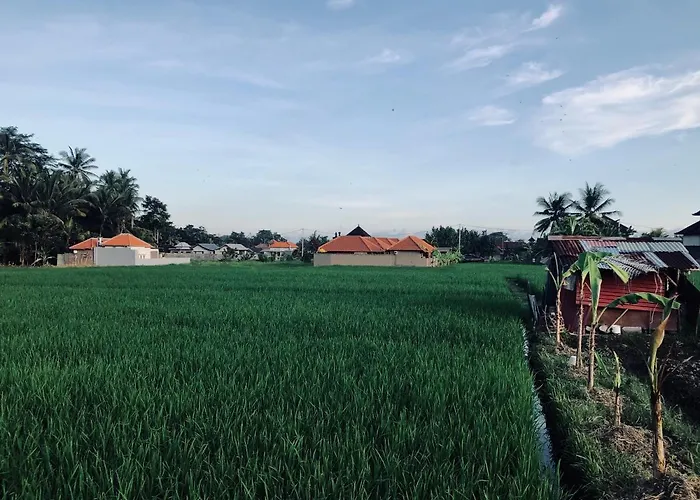 Umagama 4* Ubud